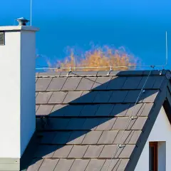 Dachówka i komin chronione przez iglice odgromowe. Niebo błękitne, drzewa w tle.