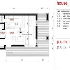 Rzut parteru domu "house_09" z widoczną szerokością elewacji frontowej, wymiarami i spisem pomieszczeń.
