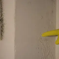 Żółta rękawiczka wskazuje na pleśń i wilgoć na ścianie przy drzwiach.