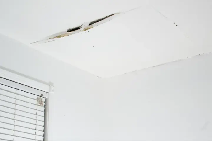 Widoczne pęknięcia na białym suficie, świadczące o problemach z konstrukcją lub wilgocią. Obok okno z białymi żaluzjami.