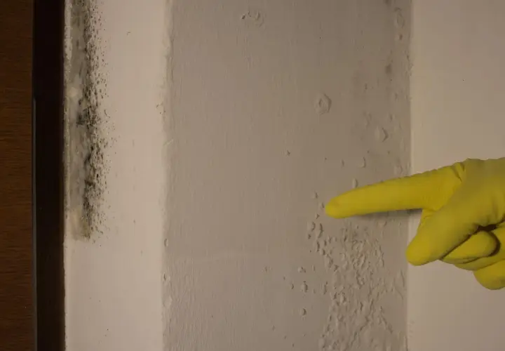 Żółta rękawiczka wskazuje na pleśń i wilgoć na ścianie przy drzwiach.