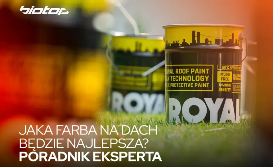 Jaka farba do dachu sprawdzi się najlepiej? Ranking i porady